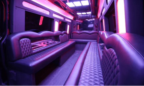 Georgetown 14 Passenger Sprinter Bus Interior
