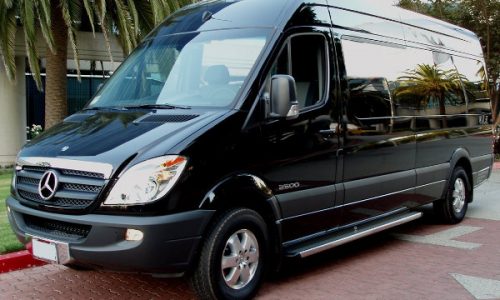 12 Person Sprinter In Austin