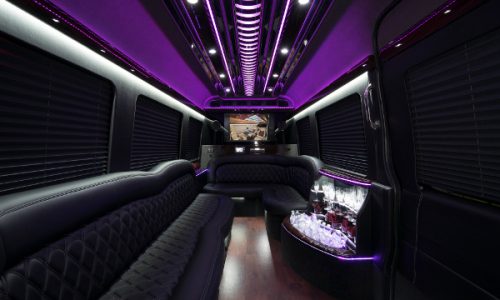 12 Person Sprinter Van Austin