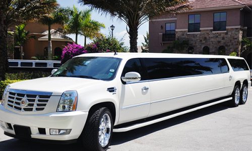 14 Person Escalade Austin Limo Service