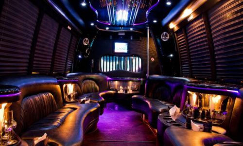 15 Person Party Bus Rental Austin